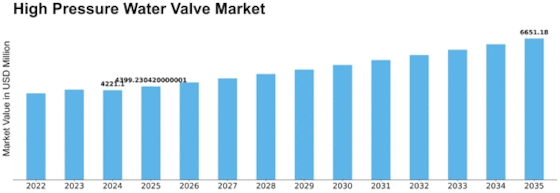 High Pressure Water Valve Market Size