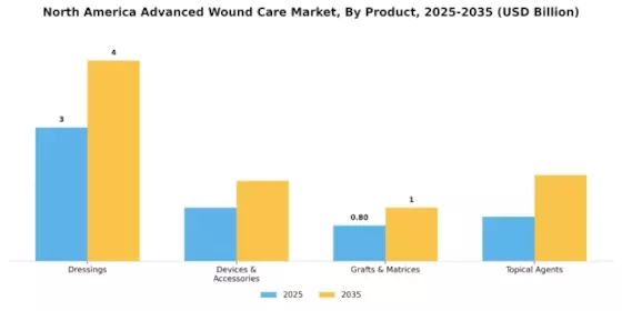North America Advanced Wound Care Market Segment Image 0