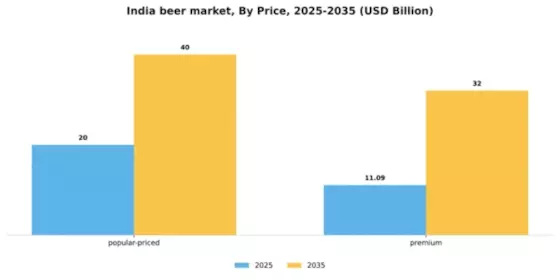  India Beer Market Segment Image 4