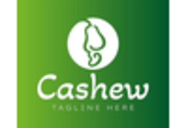 US Buy Now Pay Later Market key player