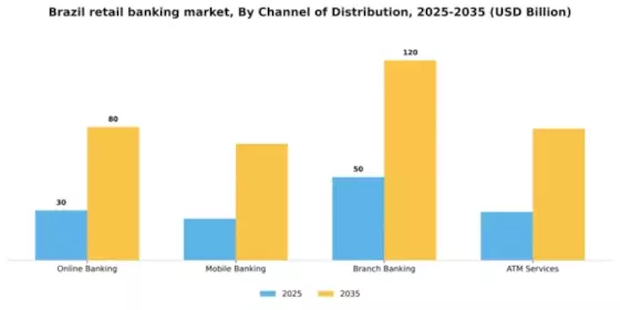 Brazil Retail Banking Market Segment Image 1