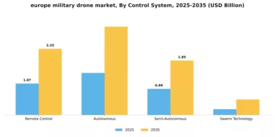 Europe Military Drone Market Segment Image 1
