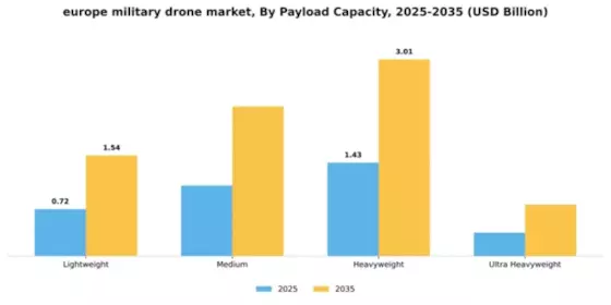Europe Military Drone Market Segment Image 3