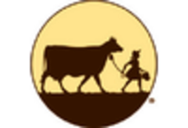 United States Ice Cream Market key player