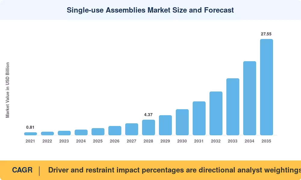 Single-use Assemblies Market Size and Forecast