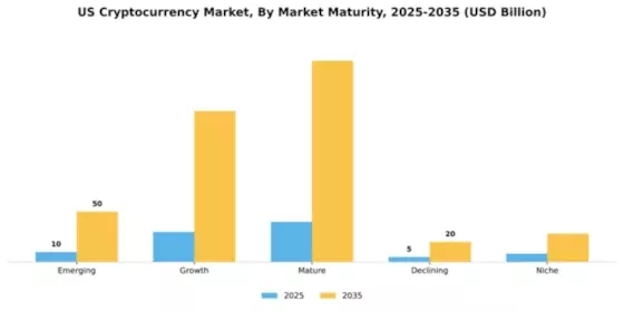 United States Cryptocurrency Market Segment Image 1