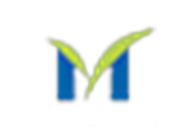 India Cosmetics Market key player