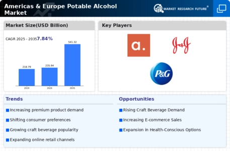 Americas Europe Potable Alcohol Market Infographic