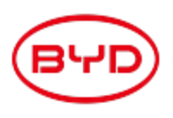 China Electric Vehicle Supply Equipment Market key player