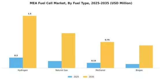 Middle East & Africa Fuel Cell Market Segment Image 2