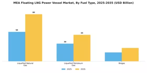 Middle East & Africa Floating LNG Power Vessel Market Segment Image 2