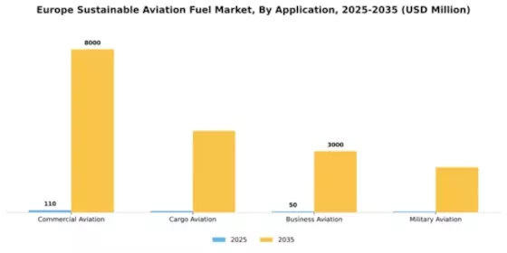 Europe Sustainable Aviation Fuels Market Segment Image 0