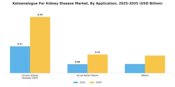 Ketoanalogue For Kidney Disease Market Segment Image 0
