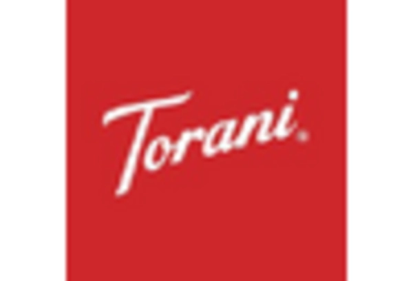 China Flavored Syrup Market key player