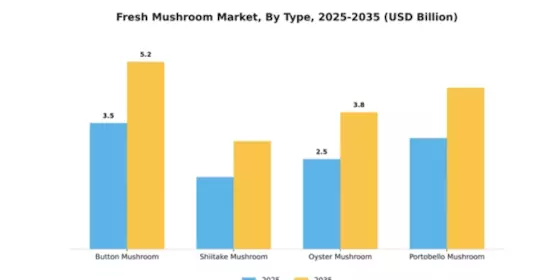 EU Mushroom Market Segment Image 4