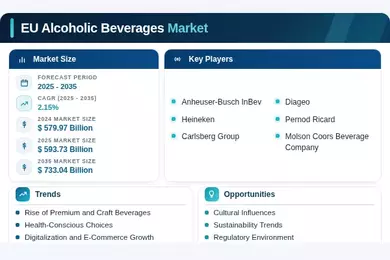 EU Alcoholic Beverages Market Infographic