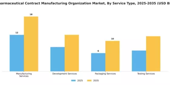US Pharmaceutical Contract Development Manufacturing Organization Market Segment Image 3