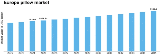 Europe Pillow Market Size