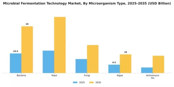 Microbial Fermentation Technology Market Segment Image 1