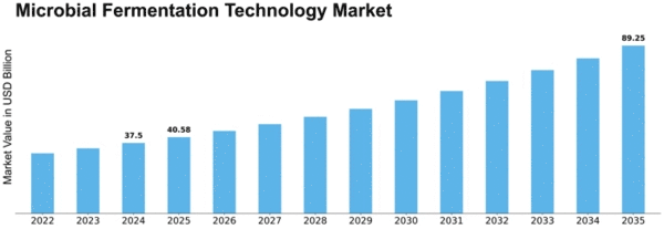 Microbial Fermentation Technology Market Size