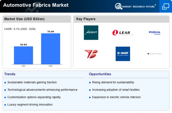 Automotive Fabrics Market Infographic