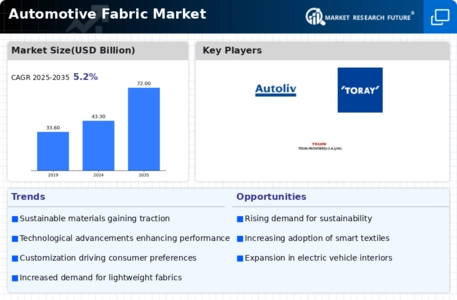 Automotive Fabric Market Infographic