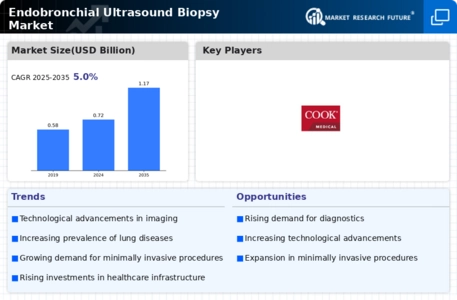 Endobronchial Ultrasound Biopsy Market Infographic
