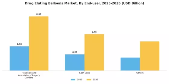 Drug Eluting Balloons Market Segment Image 2