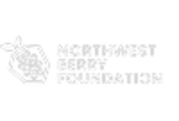 Huckleberry Market key player