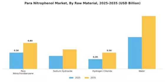 Para Nitrophenol Market Segment Image 1
