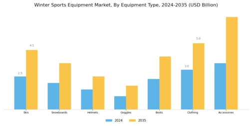 Winter Sports Equipment Market Segment Image 0