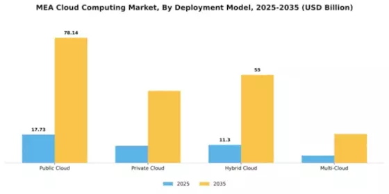 Mea Cloud Computing Market Segment Image 1