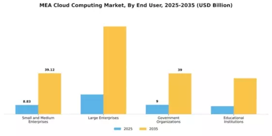 Mea Cloud Computing Market Segment Image 2