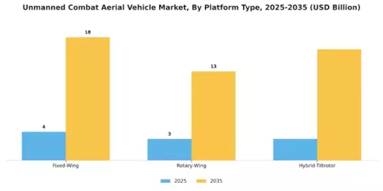 Unmanned Combat Aerial Vehicle Market Segment Image 0