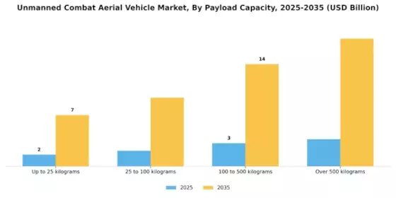 Unmanned Combat Aerial Vehicle Market Segment Image 3