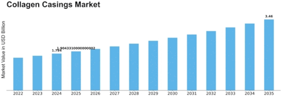 Collagen Casings Market Size