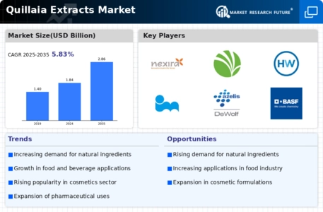 Quillaia Extracts Market Infographic