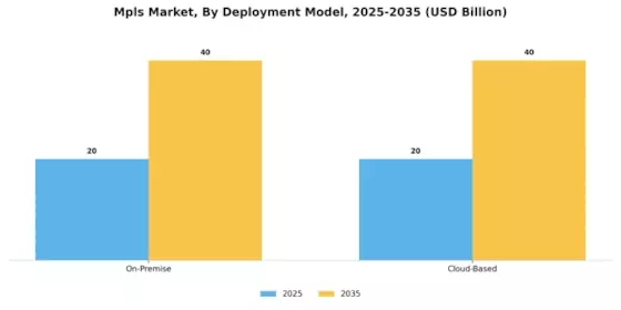 Mpls Market Segment Image 1