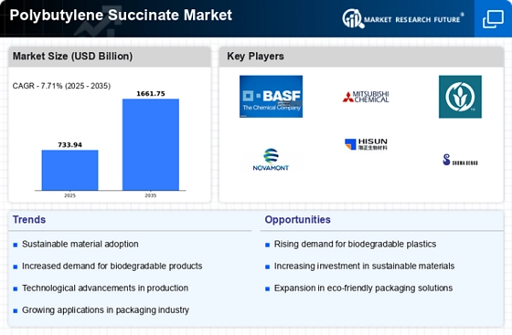 Polybutylene Succinate Market Infographic