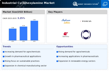 Industrial Cyclohexylamine Market Infographic