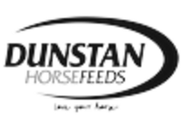 Lupin Market key player