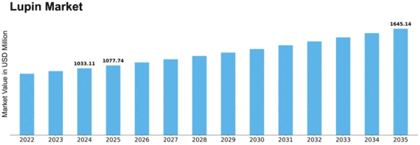 Lupin Market Size