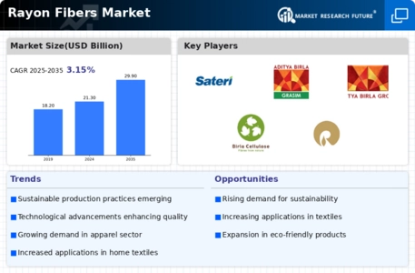 Rayon Fibers Market Infographic