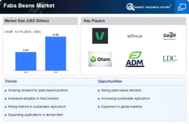 Faba Beans Market Infographic