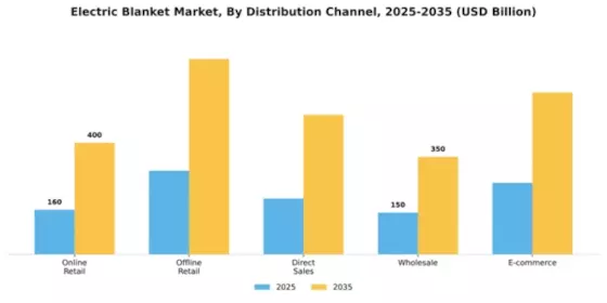 Electric Blanket Market Segment Image 1