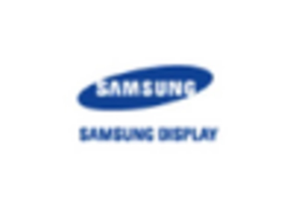 Flexible Display Technology Market key player