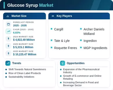 Glucose Syrup Market Infographic