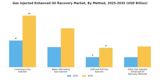 Gas Injected Enhanced Oil Recovery Market Segment Image 1