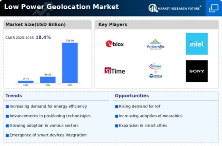 Low Power Geolocation Market Infographic