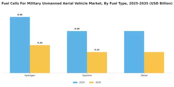 Fuel Cells For Military Unmanned Aerial Vehicle Market Segment Image 0